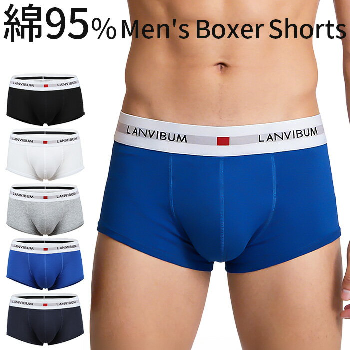 �ܥ������ѥ�� ��� �ʺ� �١����å� ���åȥ� ���ȥ�å� ���Ĥ� ���ä��ꤷ������ �̵��� �ۿ��� ����ˤ��� ���� ���� ����ץ� ̵�� �礭�������� ...