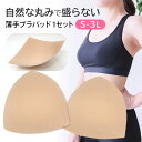 ブラパッド カップ パット 薄手 三角 自然 盛らない 1セット