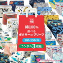 KarlyShop import ブリーフ ボクサー パンツ 男の子 ボーイズ 子供 綿 福袋 3枚セット おまかせ かわいい 車 乗物 動物 恐竜 虫 プリン...