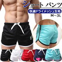 KarlyShop import ショートパンツ ホットパンツ ドライ メッシュ メンズ 涼しい スポーツ 短パン ジム トレーニングパンツ ルームウェア 速乾 通気 b5001