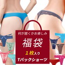 レディース Tバック タンガ プチプラ 安い ランジェリー インナー おまかせ福袋 1枚 お得 お買い得 まとめ買い 大きいサイズ 下着 ポイント消化 パンツ f-004(4)