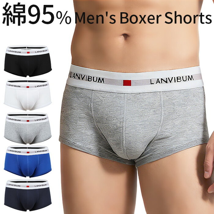 ��� �ܥ������ѥ�� �ʺ� �١����å� ���åȥ� ���ȥ�å� ���Ĥ� ���ä��ꤷ������ �̵��� �ۿ��� ����ˤ��� ���� ���� ����ץ� ̵�� �礭�������� ...