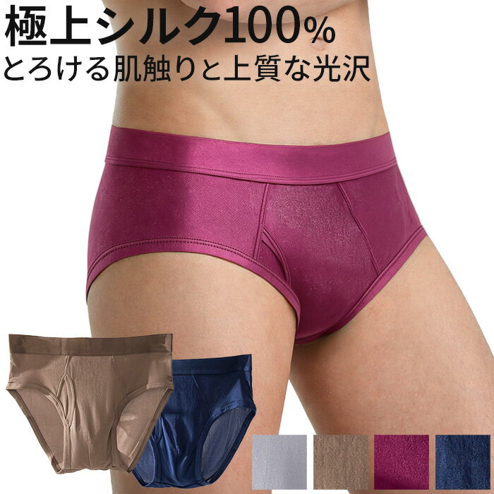 其它 - メンズ シルク ブリーフ シルク100％ 絹 メンズ下着 男性 下着 インナー 前閉じ 立体設計 通気性 蒸れにくい なめらか 高級 大きいサイズ ms-043 プレゼント ギフト 母の日 父の日 敬老の日 バレンタイン ホワイトデー クリスマス
