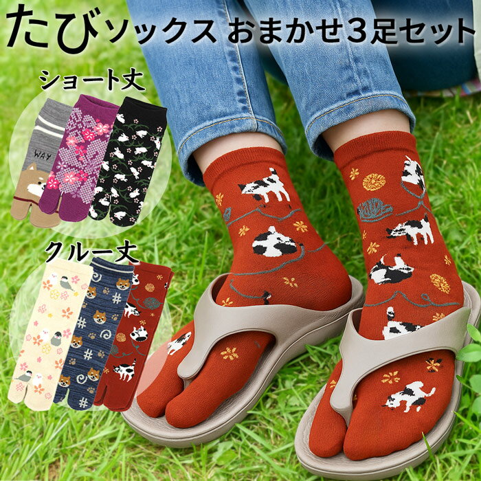 足袋ソックス 2本指 レディース 綿 おまかせ 3足セット ショート クルー くるぶし ふくらはぎ たび 靴下 コットン 和柄 動物 おしゃれ かわいい おもしろ l049