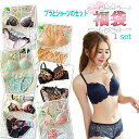 福袋 ブラジャー&ショーツセット お楽しみ ブラセット レデ...