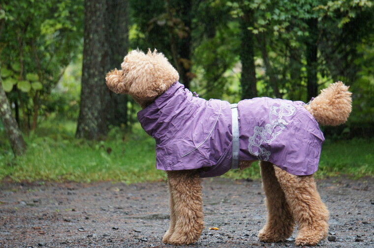 正規品 Hurtta フルッタ ドッグレインコート Deizzle Coat ドリズルコート 大型犬用 Www Flytaxi Ge
