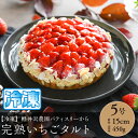 【冷凍】軽井沢農園パティスリーから完熟いちごタルト いちご タルト 誕生日 お祝い ギフト 軽井沢 完熟 プレゼント バレンタイン
