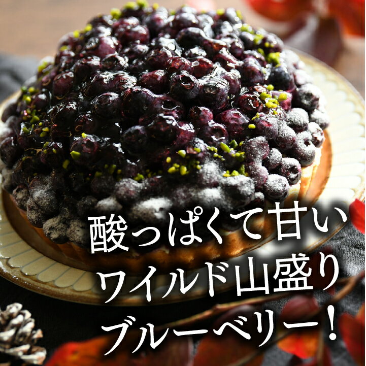 【冷凍】 フルーツタルト 農園パティスリーのたっぷり軽井沢高原ブルーベリータルト5号サイズ(4‐6人分) 誕生日ケーキ お取り寄せ タルト バースデーケーキ ブ...