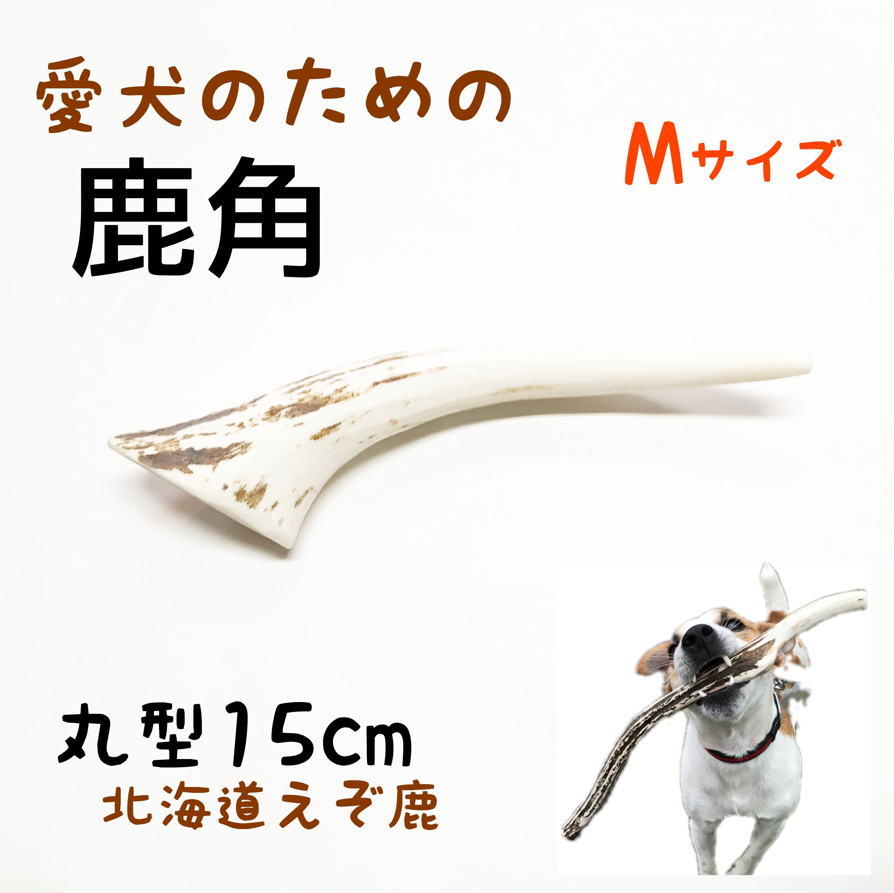 鹿の角 犬 長さ15cm 丸型 Mサイズ 1本 長持ち 国産 北海道 天然 エゾ鹿 角 玩具 デンタルケア ガム 歯磨き 小型犬 中型犬 愛犬 スティック 骨 ボーン 角 シカ ツノ えぞ鹿 歯周病