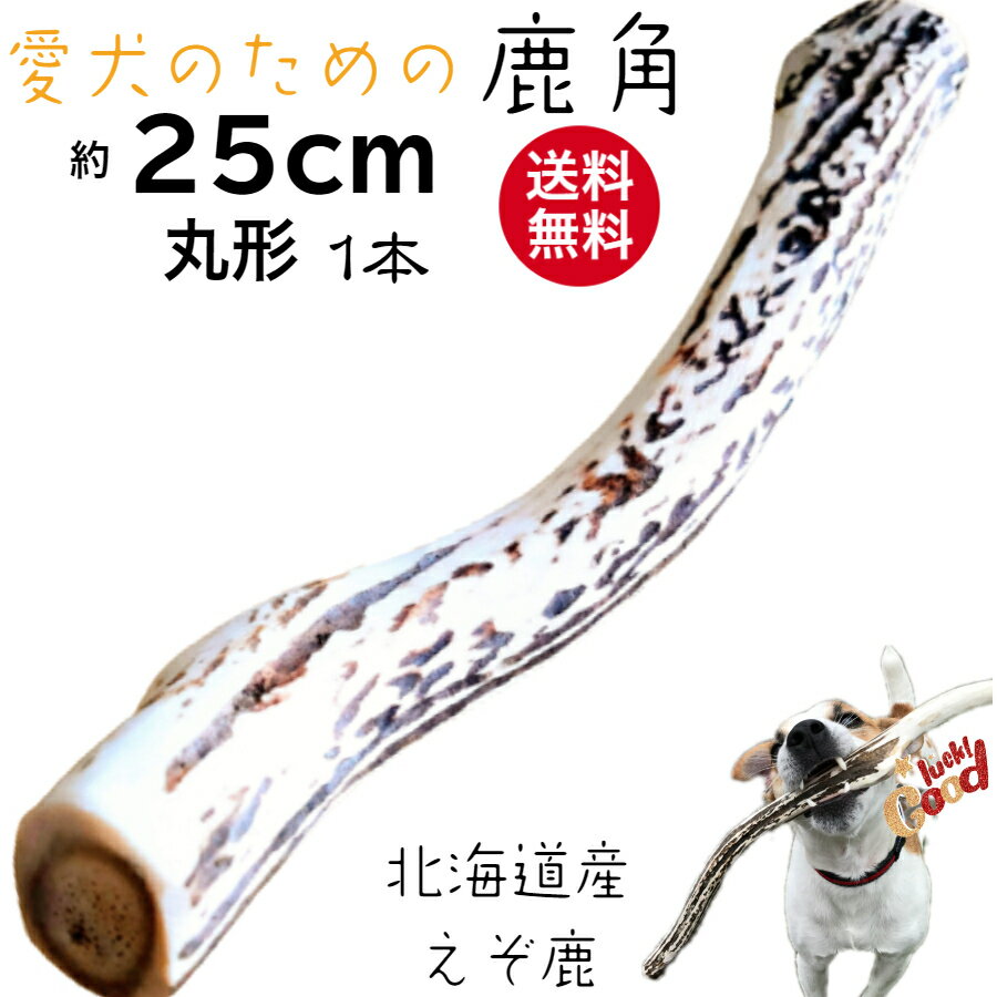 鹿の角 犬 25cm 鹿角 長持ち 国産 北