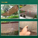 日よけシェード サンシェード 庭 スクリーン オーニング バルコニー シェード ベランダ フェンス 300×200cm 3m 目隠し 目かくし 紫外線 UV対策...