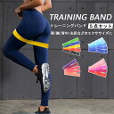 エクササイズ トレーニングチューブ 筋トレ チューブ ループバンド 美尻バンド ヒップバンド ヒップアップ器具 エクササイズ ゴムバンド