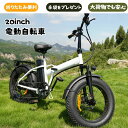 自転車 電動自転車 車 電動アシスト自転車 20 インチ スノータイヤ 折りたたみ式 付属サービス 手袋プレゼント 通学 通勤 アウトドア
