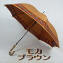 傘 レディース おしゃれ 雨傘 長傘 先染 縁マルチカラーチ...