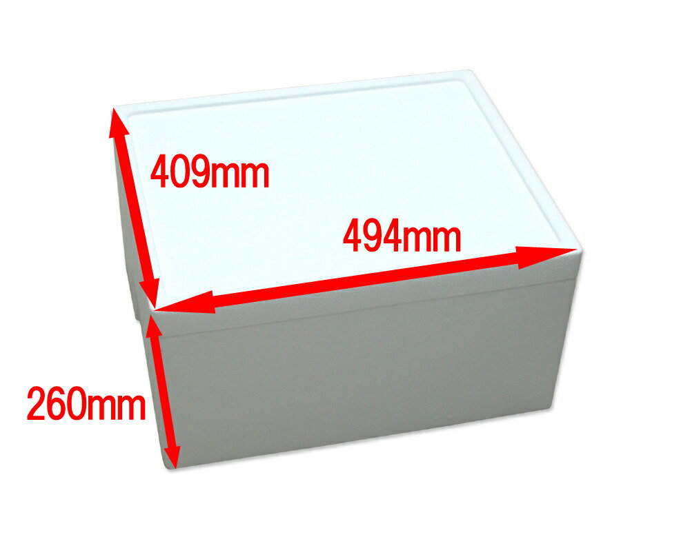 発泡スチロール 発砲スチロール 箱 容器 【発泡スチロールBOX(L)-4 シシャモ-4】保温 宅配便 120サイズ 保冷 クーラーボックス BBQ 省エネ エコ 節電 屋外 アレンジ プランター 梱包資材 野菜栽培 植木鉢 450mm × 365mm × 213mm 35L通販格安セール情報 楽天 通販