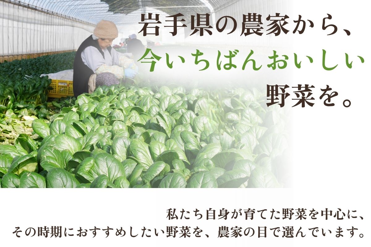 【リニューアル記念SALE★20％OFF】旬のおまかせ便 お野菜セット 岩手県 農家 野菜詰め合わせ 送料込み クール便 産地直送 新鮮 お取り寄せ kasai-nousan-10000000 かさい農産 サンプル画像3