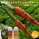 無添加にんじんどれっしんぐセット お野菜付き 150ml 2本セット 送料込み クール便 無添加 手作り 農家 にんじんたっぷり 贅沢 ドレッシング まるまる ぐるぐる おまけ付き プレーン ヨーグルト