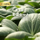 【楽天スーパーSALE】農家直送お野菜セット Sサイズ 岩手県 農家 野菜セット 野菜詰め合わせ 5品 小松菜 ほうれん草 チンゲン菜 ごぼう 人参 モロヘイヤ つるむらさき おまかせ 送料無料 クール便 産地直送 穫れたて 新鮮 お取り寄せ