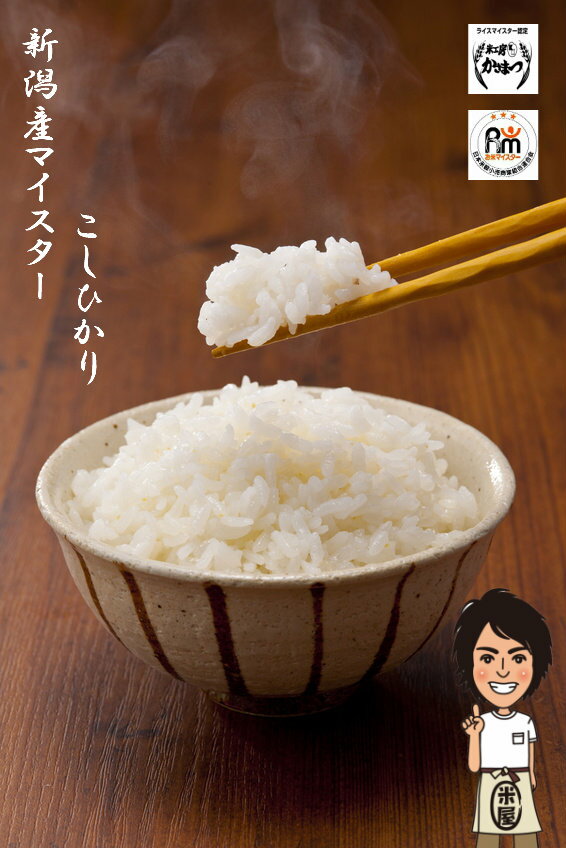 【あす楽】【送料無料】令和5年産 新潟産マイスター特選こしひかり 10kg(5kg×2袋でお届け) 【お米 10kg 送料無料】 【米 10kg 送料無料】 新潟県 玄米 無洗米 胚芽米 こしひかり コシヒカリ