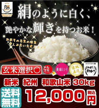【エントリーでポイント最大42倍♪9/11(日)01:59迄】【あす楽】【新米入荷】【送料無料】令和3年産 和歌山米 白米30kg(精白米にして27kg) 【米 30kg 送料無料】【お米 30kg 送料無料】【北海道・沖縄・離島は送料別途必要】 笠松 米工房かさまつ 玄米