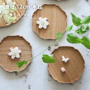 Forest 木皿 直径 12cm 小皿 日本製 木製 皿 プレート 料理皿 銘々皿 菓子皿 デザートプレート 天然木 国産タモ材 撥水 クリアコーティング 和モダン towan かわいい おしゃれ シンプル 越前漆…