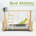 おもちゃ 吊り下げ 木 小鳥 止まり木 タワー インコ 木製 鳥 玩具 皿付く はしご アスレチック 休憩 揺らして 無害 取付け簡単 aaa