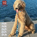 リード 首輪 犬用 中型犬 大型犬 小型犬 スプリング ペット 通気性 リード ハーネスセット ドッグラン おしゃれ かわいい お散歩 脱着簡単 衝撃吸収 トレ...