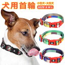 首輪 犬用 中型犬 大型犬 小型犬 ペット イヌグッズ ドッグラン カラフル おしゃれ かわいい お散歩 脱着簡単 衝撃吸収 トレーニング 外出 お洒落 安全 ...