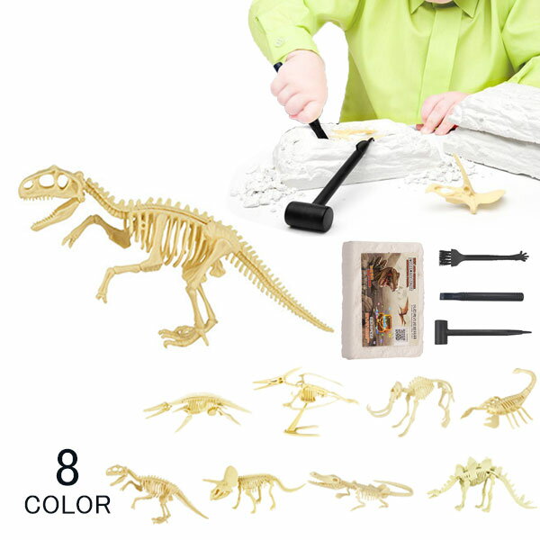 恐竜化石発掘キット おもちゃ 実験キット 模型 考古学的発掘おもちゃ DIY恐竜掘りキット 恐竜化石 3D ..