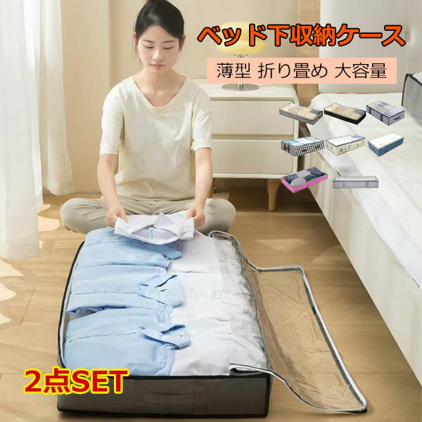 アストロ 着物収納ケース 2枚セット 通気性の良い不織布 埃・汚れ防止 浴衣 保管袋 たとう紙の代わり 小物入れ 防虫剤入れ ネームホルダー