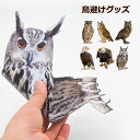 鳥避けグッズ 鳩よけ 鷹 フクロウ カラス撃退 ハト対策 スズメ・ツバメ 猫避け つばめ 屋外 ベランダ 果樹園 農作物 農園向け メール便