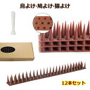 鳥よけ 鳩よけ とげ長め仕様 耐候性 自由カット 針が密集するとげ高め仕様 樹脂製 優れた耐久性 耐候性 カラスよけ 景観を損なわずフン害防止 ベランダ 屋上 ...