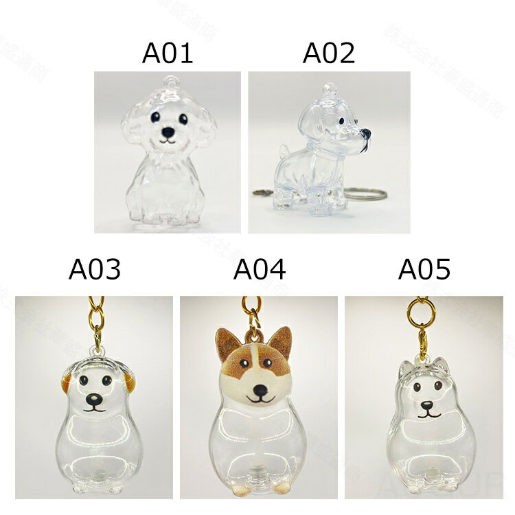 �����Ӽ�Ǽ�ܥȥ� ���� �ڥå� ������ Ʃ�� �ڥå� �������� �ڥåȥ��ꥢ��ܥȥ� ���Υ����ۥ���� �Ӥ��ݴɤ���ܥȥ� ���襤�� �ڥåȤҤ���ȴ���Ӽ�Ǽ ���� �����⤭ �� ǭ ��ưʪ ���ꥢ�륰�å� 6�����׸� �᡼����