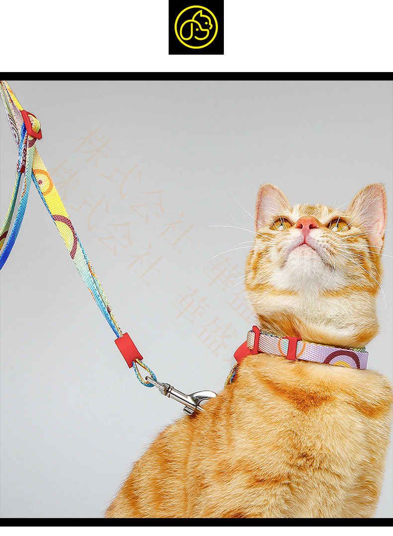 華盛通商のハーネス リード 胴輪 首輪 猫用 ねこ ネコ 猫 キャット スプリング ペット 通気性 リード ハーネスセット ドッグラン おしゃれ かわいい お散歩 脱着簡単 衝撃吸収 トレーニング 外出 お洒落 安全 メール便｜アングル3