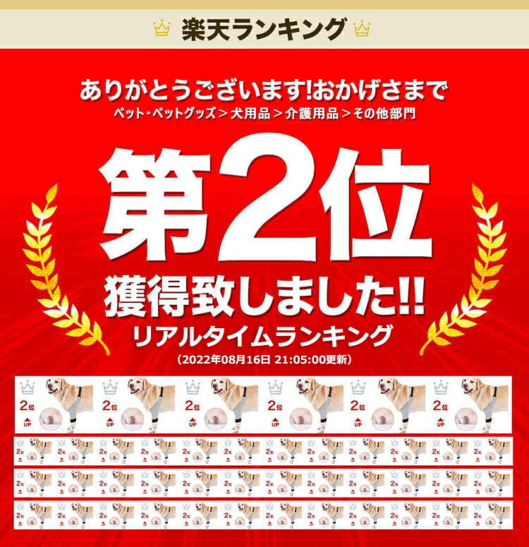 ペット用関節プロテクター 前足 足用 ひざ用 犬用 膝サポーター 前足関節保護 固定 ケア用品 リハビリ 骨折治療 傷舐め防止 老犬介護 介護用品 保護 関節 膝 靭帯 脱臼 シニア 肘当て 床ずれ 腕 肘 老犬 老齢犬 メール便 kaseishop-10020805 華盛通商 サンプル画像2