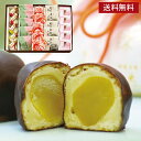 《送料無料》 和菓子 詰め合わせ 「雅」栗大納言5個しるべ5個珠の栗5個七転八起5個みなくち5個 お供え お供え物 法事 志 お彼岸 お菓子 お祝い 内祝い お...