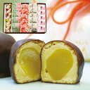 《送料無料》 和菓子 詰め合わせ 「雅」栗大納言5個しるべ5個珠の栗5個七転八起5個みなくち5個 お供え お供え物 法事 志 お彼岸 お菓子 お祝い 内祝い お返し 初節句 ご挨拶 老舗 高級 スイーツ ギフト 誕生日 プレゼント お取り寄せ 栗 お土産 滋賀県 甲賀 大彌 即日発送