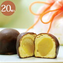 株式会社大彌 和菓子 珠の栗20個入