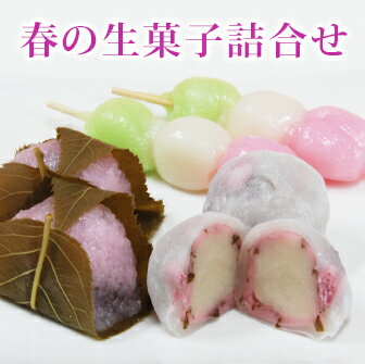 春スイーツ 春の生菓子詰め合わせ 桜もち2個花もち2個三色だんご2本 花見 お花見 桜 さくら 入学 春 だんご お彼岸 お供え 和菓子 生菓子 団子 だんご 誕生日 プレゼント お取り寄せ 老舗 高級 手土産 ギフト 桜もち 桜餅 さくら餅