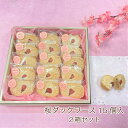 春ギフト 桜ダックワース 15個入 2箱セット 菓子庵石川 贈答用 お菓子 お土産 焼き菓子 さくらクリーム 高遠コヒガンザクラ アーモンド ダックワーズ 送料無料 卒業 入学 内祝い 退職 移動