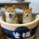 【送料無料】青いカップラーメンペットハウス ペット用小屋 犬小屋 猫小屋 ペットケージ ペットベッド カップラーメン 快適 立体的 面白い Kashima