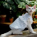 【送料無料】猫服 猫ウェア ペット服 ネコ 青縦縞柄レースプリンセスワンピース 青 ドット模様付き スフィンクス デボンレックス 猫ワンピース ドレス スカート...