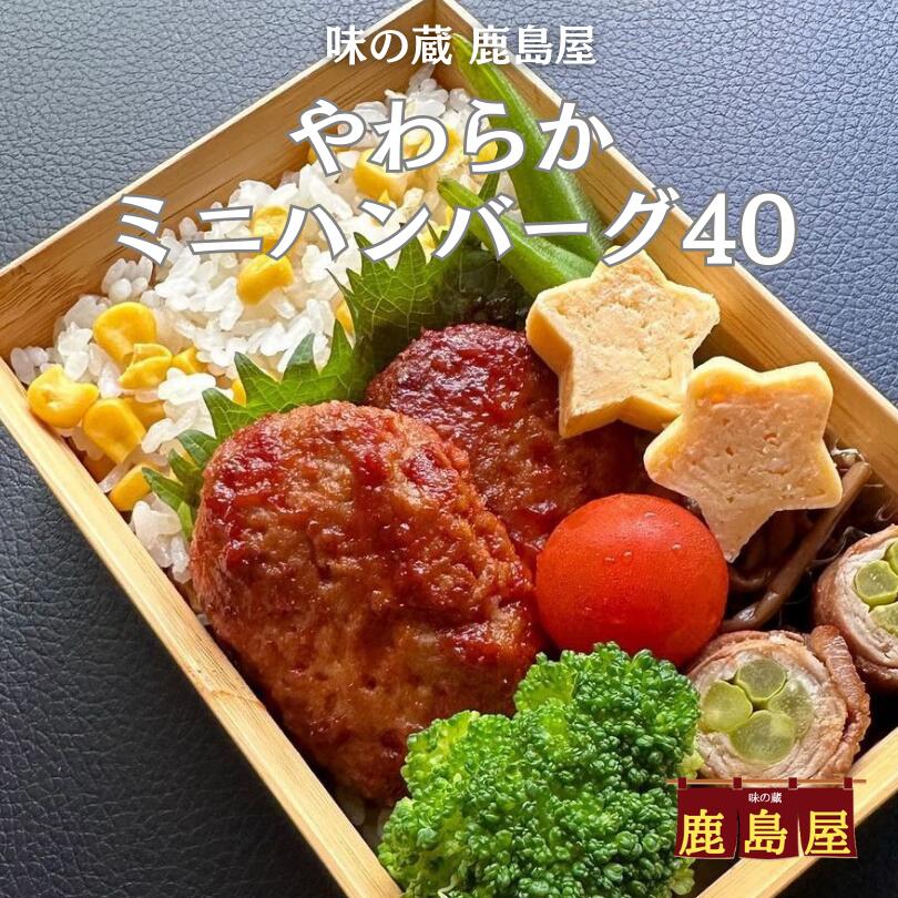 ミニハンバーグ 40g ×25個 1袋 まとめ買いでお得 5%OFF ¥1100→¥1045(税込¥1129) ミニサイズ！ ミンチ 牛 豚 夕食のおかずに 忙しい時に　ボリューム満点 少量購入可能 お得