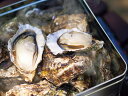 広島牡蠣のカンカン焼き H-KY16 広島牡蠣の身太りが最も良くなる時期に水揚げされた殻付牡蠣 鮮度・風味そのままに殻ごと冷凍 カンカン焼きのセット 軍手ナイフ...
