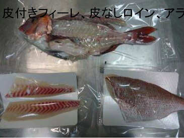 【NHKおはよう日本で紹介されました】徳弘水産ブランド真鯛『鯛一郎クン』宇和島養殖真鯛・皮付きフィーレ・皮なしロイン・アラ加工済み真空パック《加工品約1.2kg前後》チルド便【クレジットカード決済のみ】