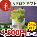 【あす楽】【28%OFF】和風カタログギフト 4500円コース(ファーストクラス・ほのかな和調カタログギフト)《シリーズ最大40%OFF》引出物/香典返し/出産内祝い/快気祝い/結婚内祝い/粗供養/満中陰志