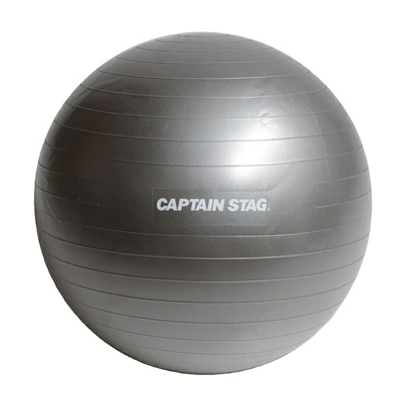 キャプテンスタッグ フィットネスボール φ55 シルバーホワイトUR-861 CAPTAIN STAG