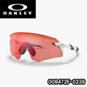 オークリー サングラス OAKLEY ENCODER A