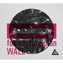 fox capture plan/【CD】WALL