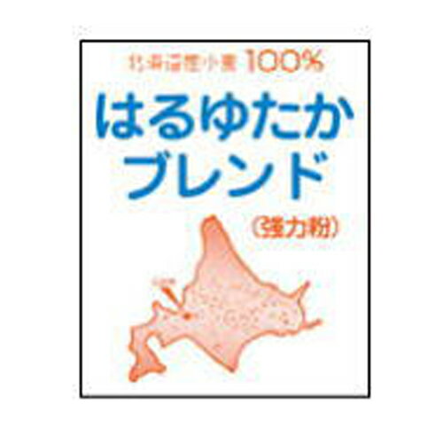 江別製粉 北海道産 パン用強力粉 はるゆたかブレンド 2.5kg (常温)(小分け) 業務用